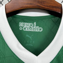 CAMISA DO PALMEIRAS 25/26 VERDE