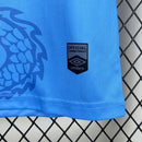 CAMISA DO SANTOS 25/26 AZUL