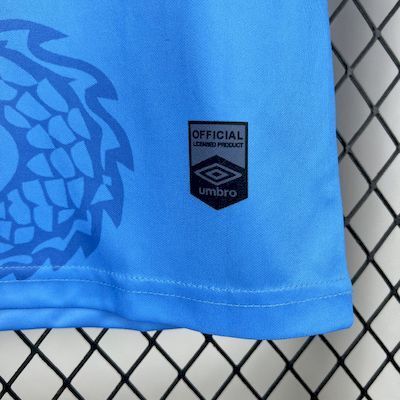 CAMISA DO SANTOS 25/26 AZUL