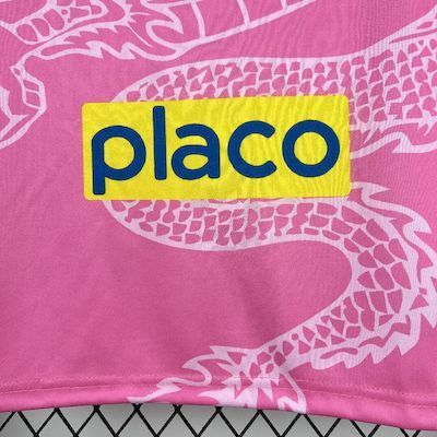 CAMISA DO SANTOS 25/26 PINK